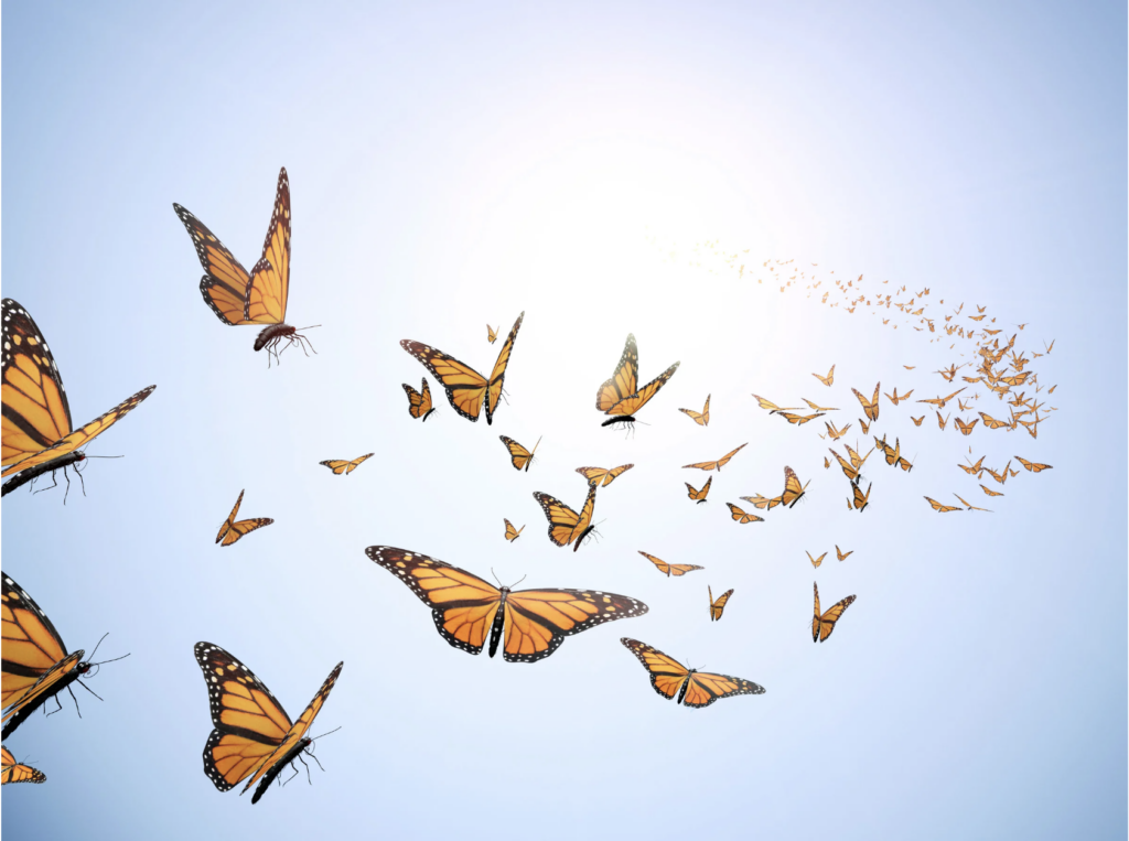 Woman embracing transformation through cocooning process